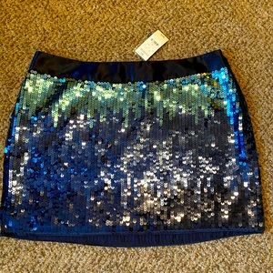 NWT stunning Express sequin skirt